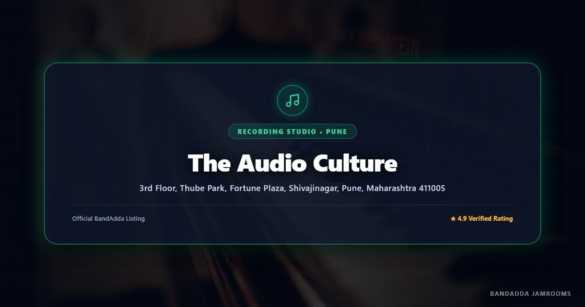 The Audio Culture