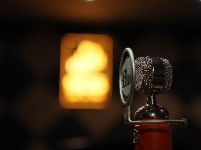 Sonic Digi Studio